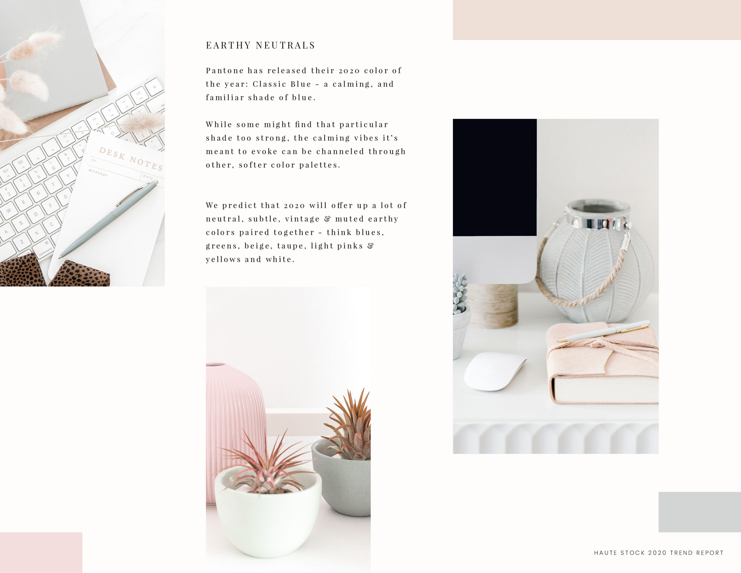 Earthy Neutral Brand Color Palette Stock Photos from Haute Stock
