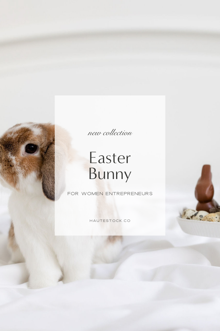 Easter Bunny Styled Stock Photos