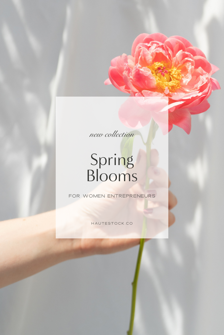 Colorful Spring Florals Stock Photography