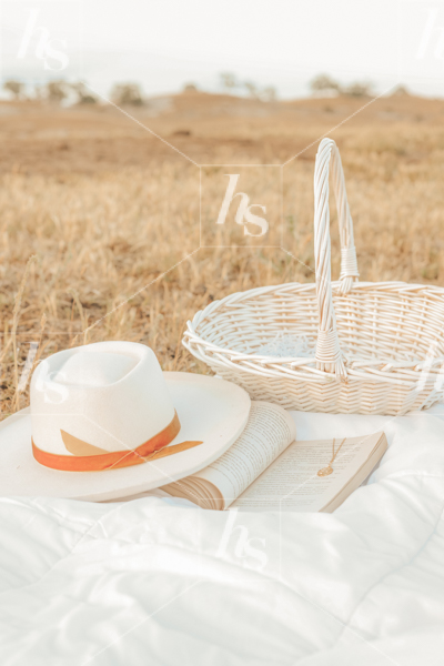A picnic basket, a hat and a book in an open field with yellow grass