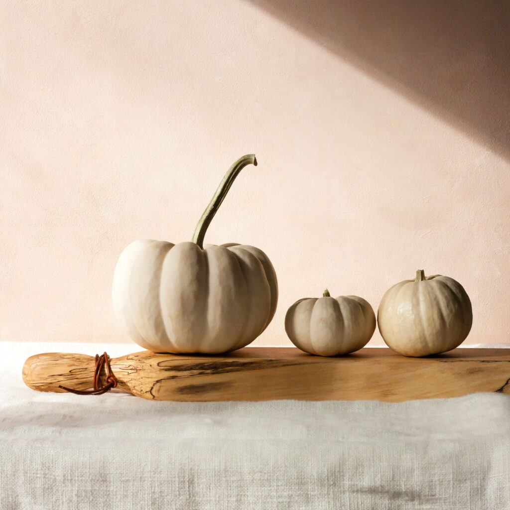 Fall stock image featuring white pumpkins against blush background. Browse our seasonal Lifestyle Stock Photos.
