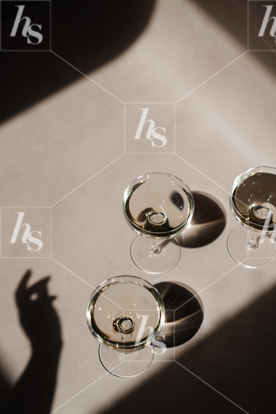 Moody and shadowy stock image of champagne glasses, part of Haute Stock's Neutral Affair Collection