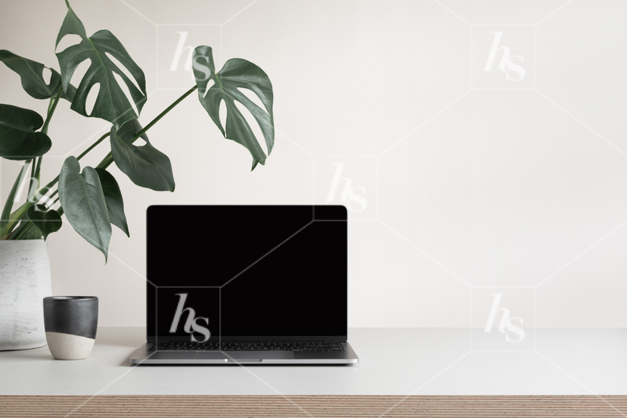 Tech mockup stock photo featuring a blank laptop screen next to a green tropical plant