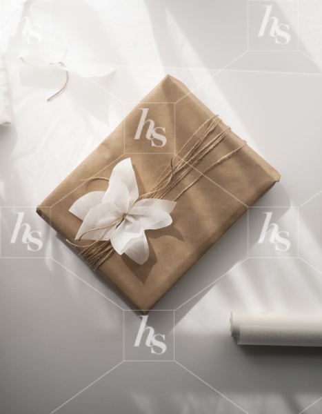 Minimal stock photography of vintage wrapped present on white shadowy background