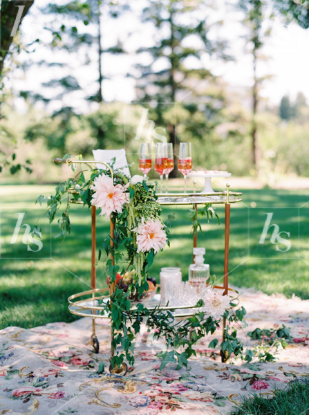 Beautifully spring decorated outdoor bar cart with champagne glasses and flowers.