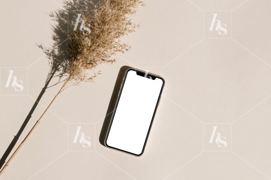iPhone stock photo mockups to showcase your sales pages, new listings, or recent client work.
