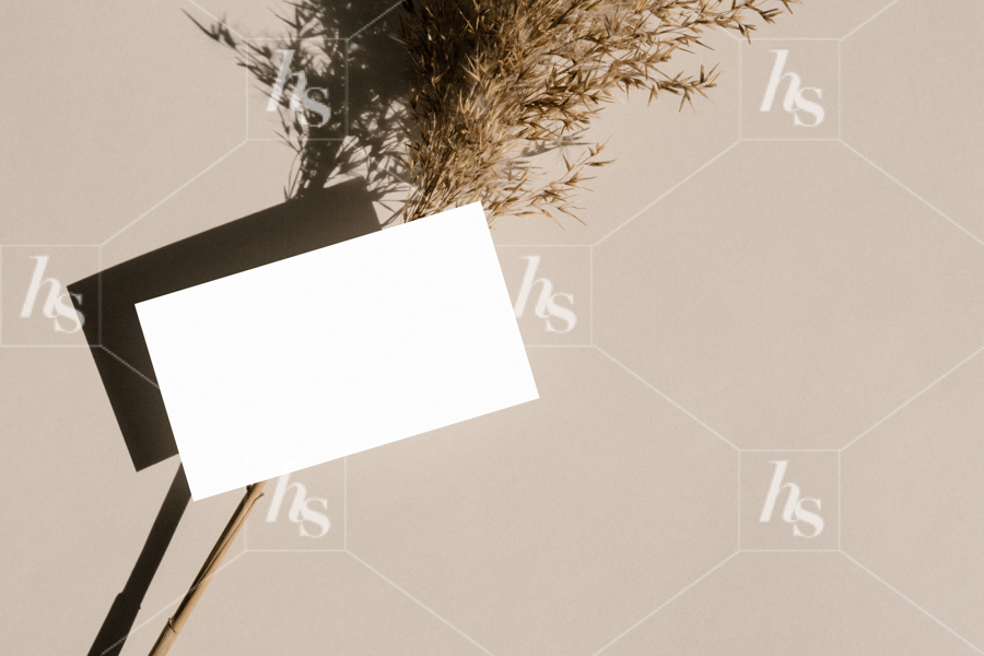 Stock image of simple business card mockups on neutral background. 