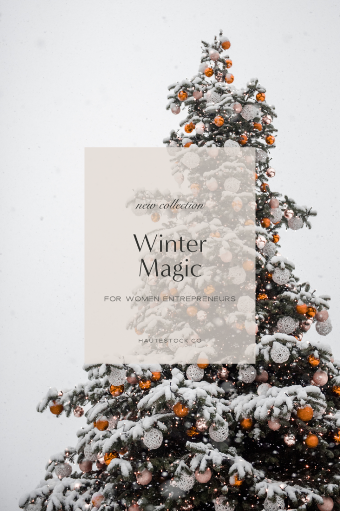 Styled winter stock photos of outdoor decorated Christmas tree covered in snow, part of Haute Stock Winter Magic Collection, perfect for your holiday marketing and brands.
