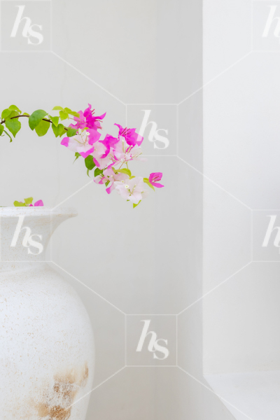 Hot pink flowers in a large white vase, part of Haute Stock's Paradise Found Bali stock images