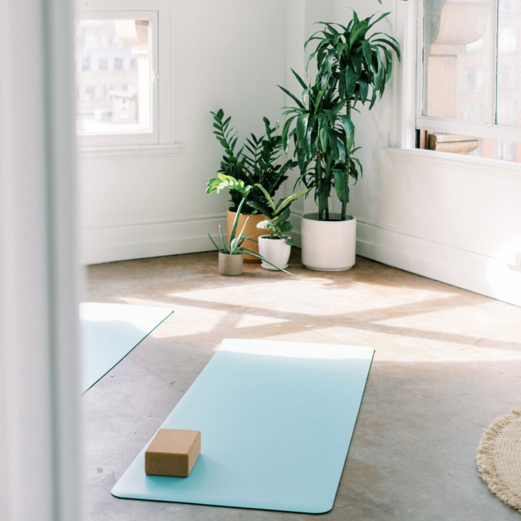 Yoga mats ready for a session in airy studio with green plants, perfect stock photos for your health & wellness brands.