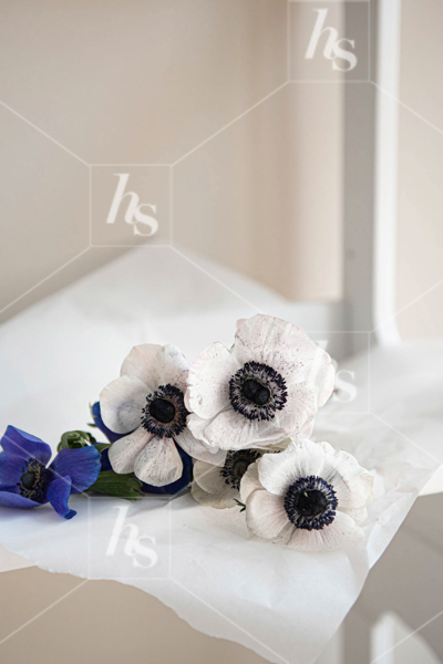 White and navy flowers on desk, part of the study neutral interior and workspace collection by Haute Stock.