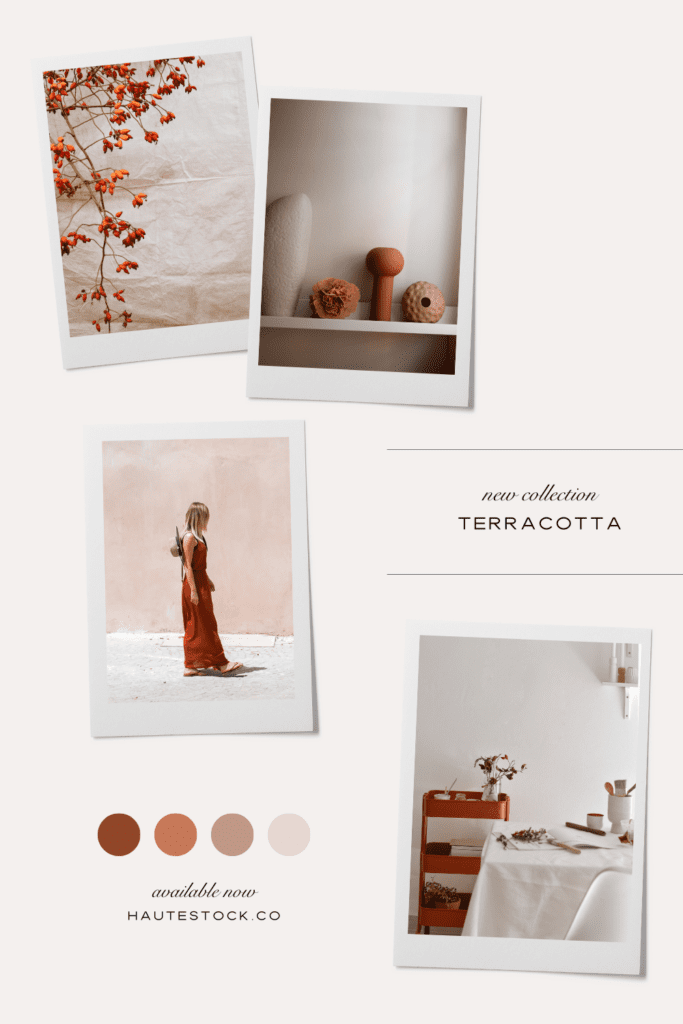 Mood board for Terracotta, a collection of fall travel stock images that feature swatches, fabric, foliage, and home decor in a blend of autumnal color palette.