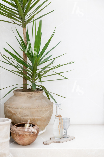 Healthy potted plant and earthenware vases next to glass of water, part of Bali Interiors - earthy architecture stock imagery.