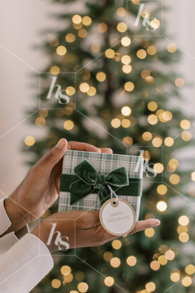 Woman holding a wrapped present with a Christmas tree in the background, part of the holiday stock photos and videos collection by Haute Stock