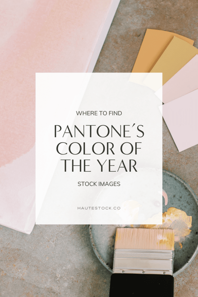 Find big selection of Pantone's color of the year inspired stock images in the Haute Stock library.