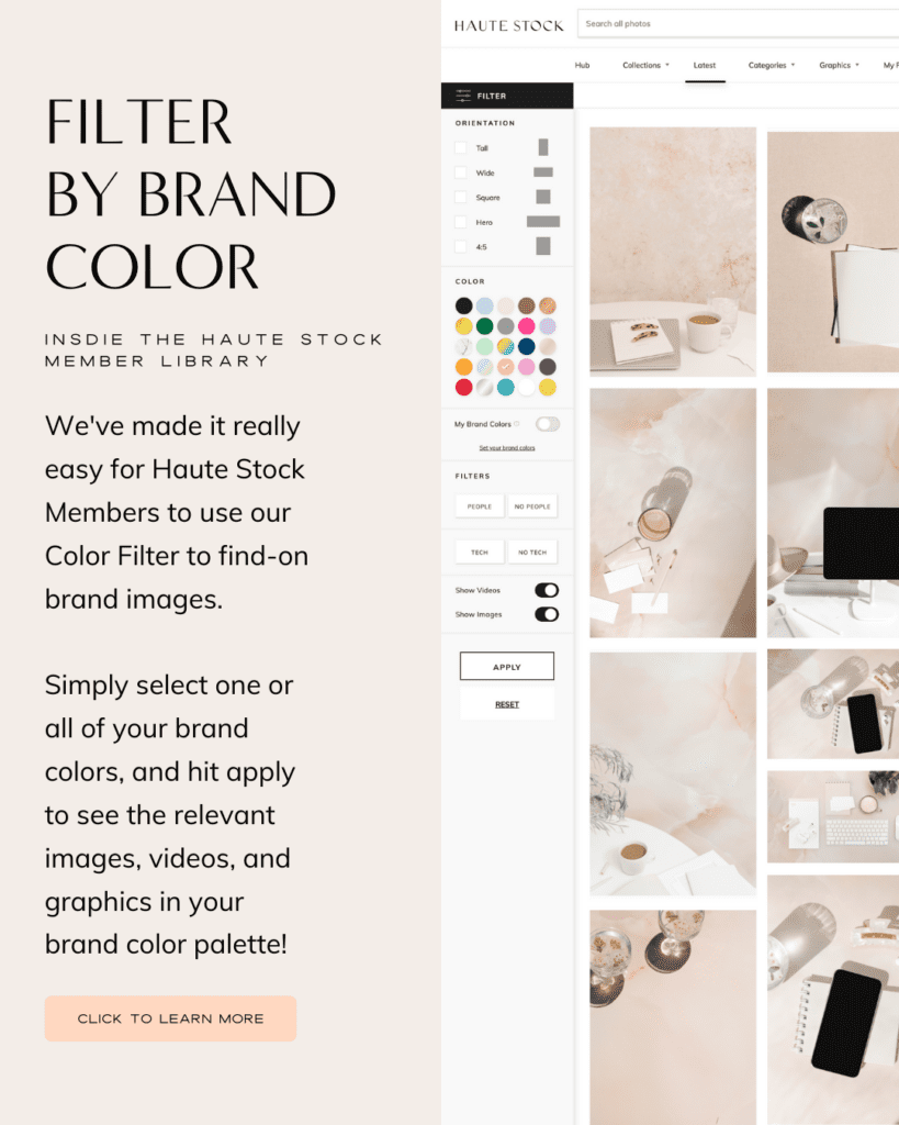 How to use the filter by brand color inside the Haute Stock library to help you find the right color images for your brand!