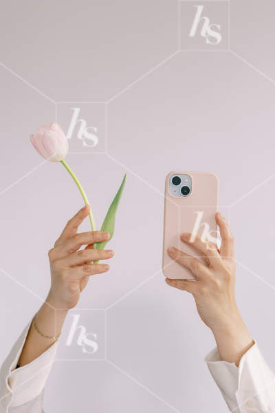 Woman holding pink tulip stem and pink phone in her hands, part of Millennial pink: feminine workspace stock videos collection.