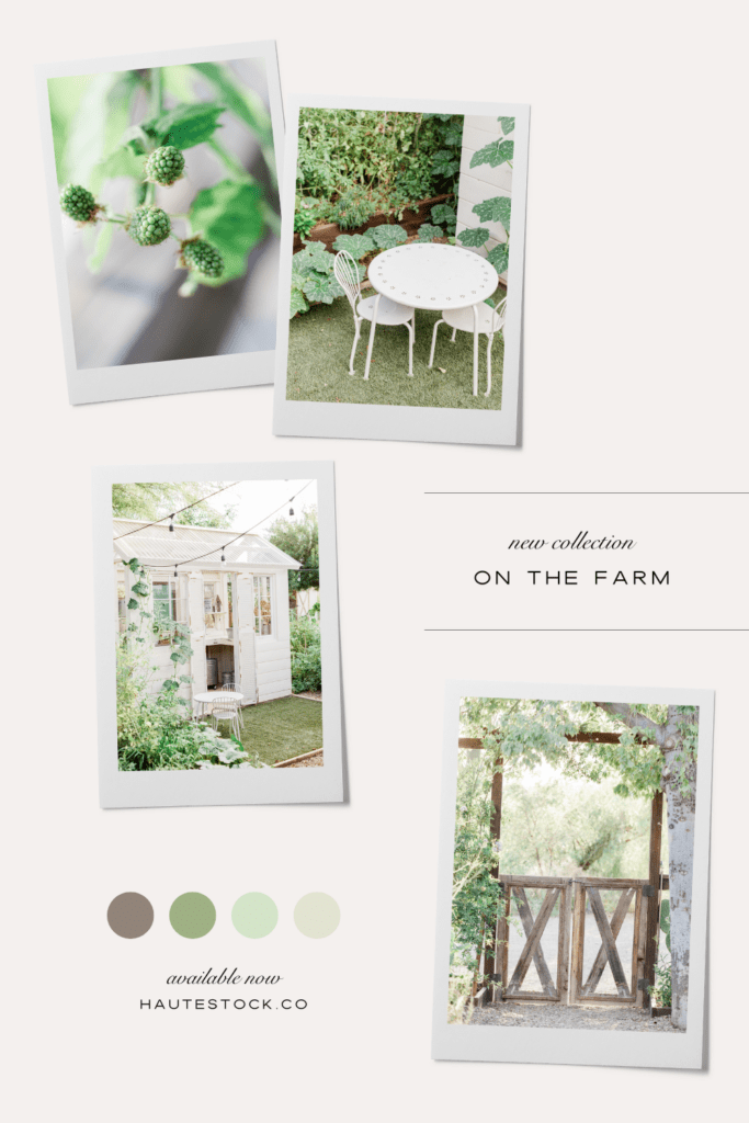 Mood Board for On the Farm, the rustic spring vides stock images collection, featuring images of fresh fruit trees & flowers, farmhouse an weathered fences in vibrant colors. 