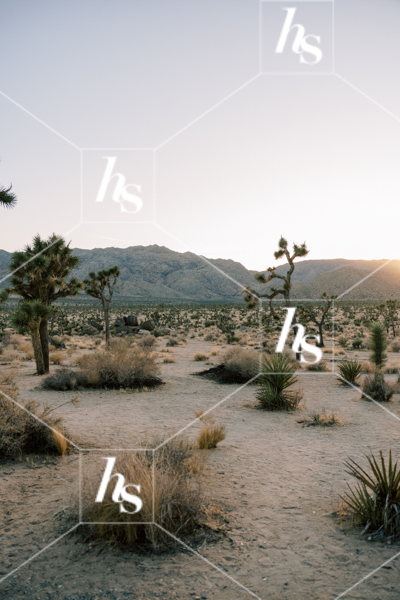 An image of a dreamy desert, part of Drift collection of desert and interior stock images 