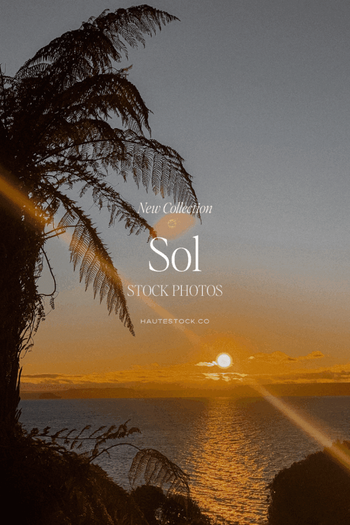 Sunset over the ocean with palm tree silhouette, warm golden tones, and text overlay promoting Sol Summer Stock Photos collection from Haute Stock.