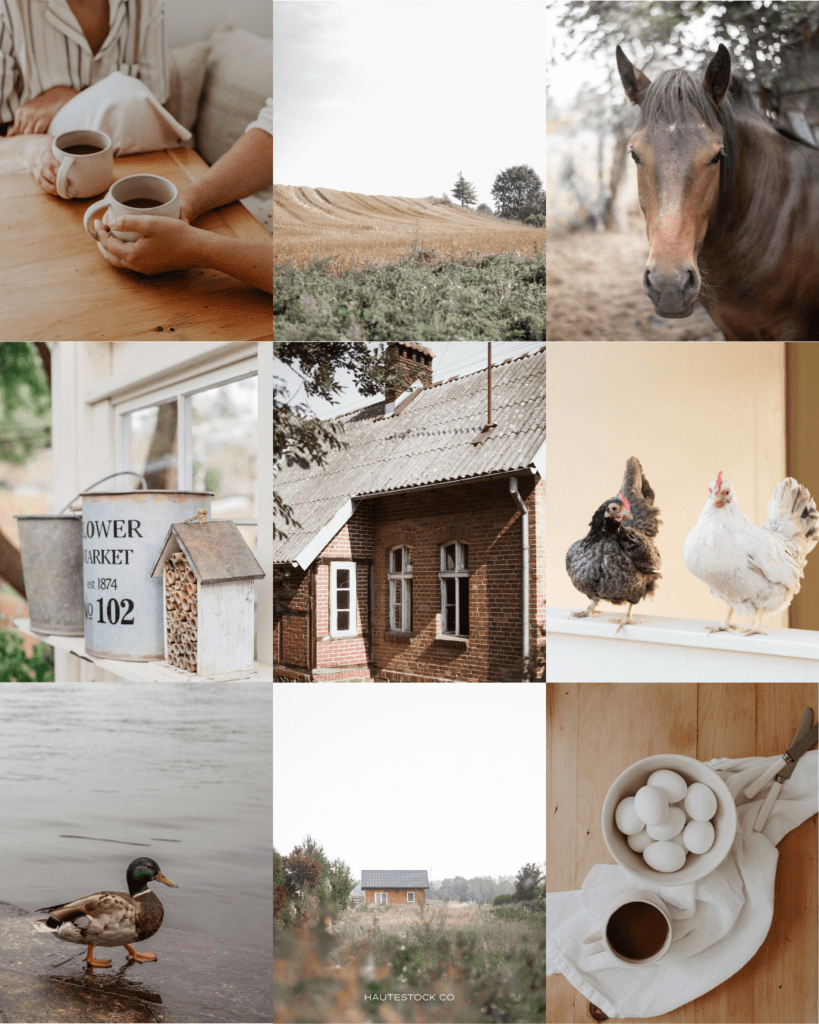 Cottagecore farm lifestyle imagery including chickens, cottage house, coffee, and countryside scenes