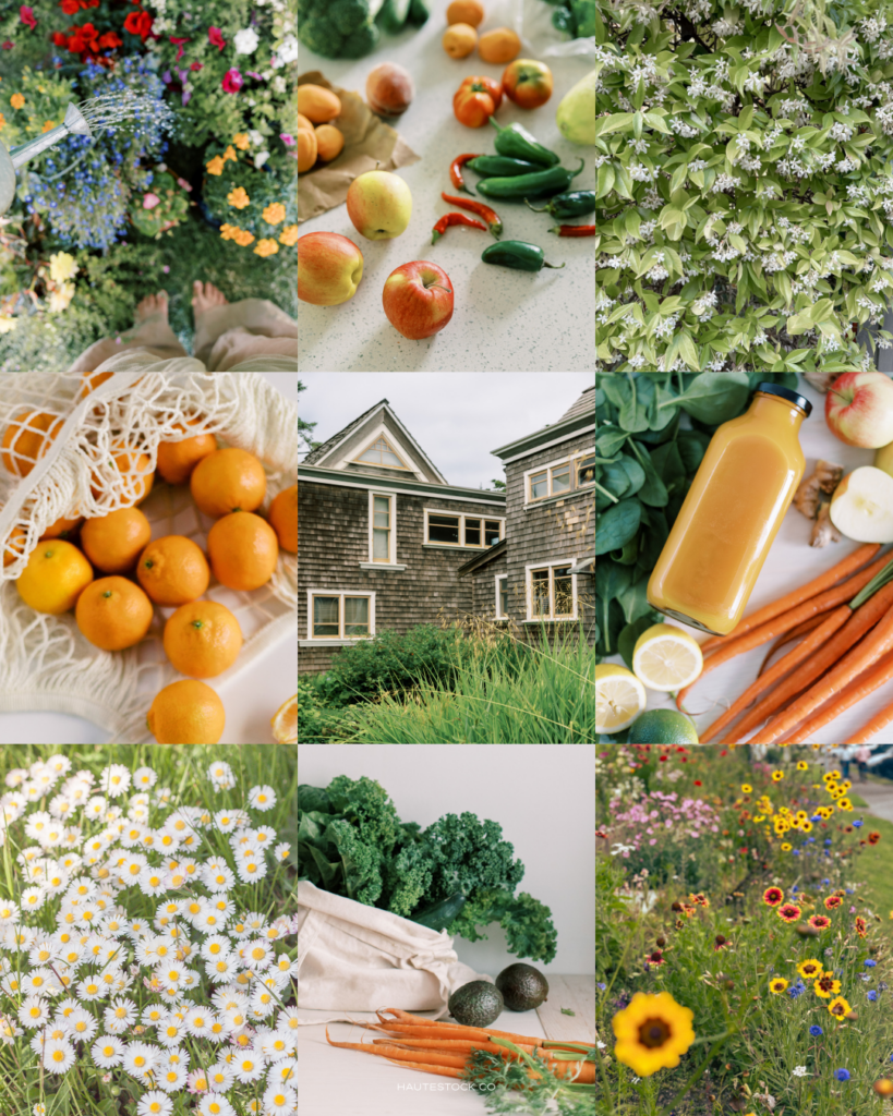 Cottagecore garden harvest aesthetic featuring fresh vegetables, citrus, and seasonal produce